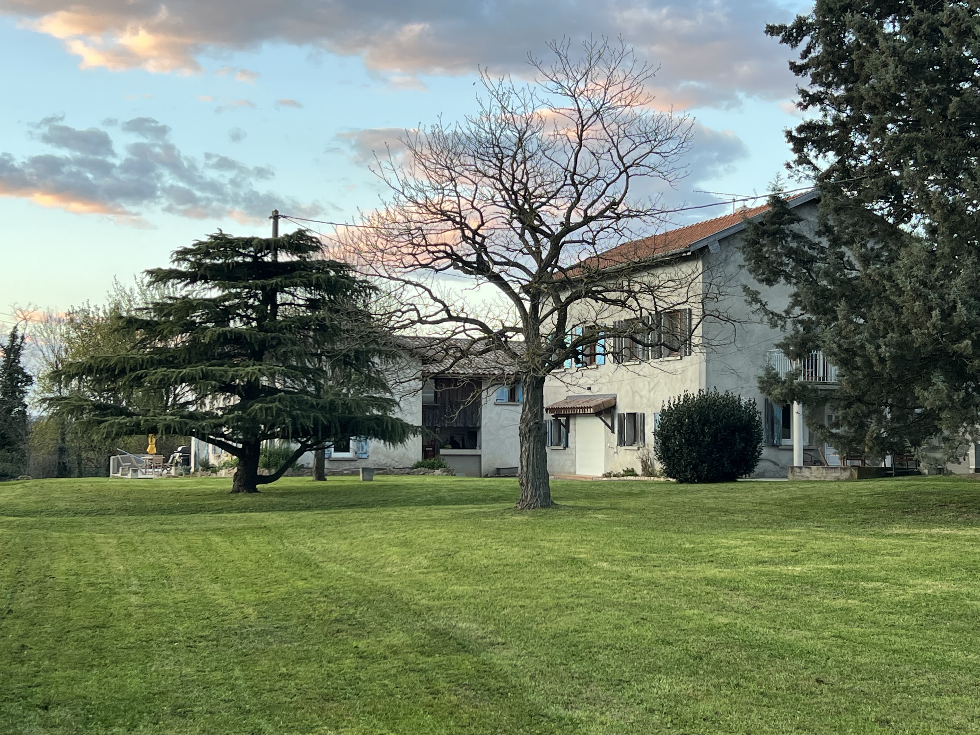 Bee on the Tree - Entdecken Sie unser Cottage